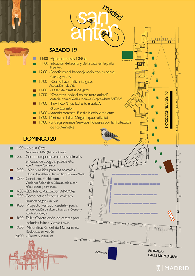 PROGRAMA DEFINITIVO.png